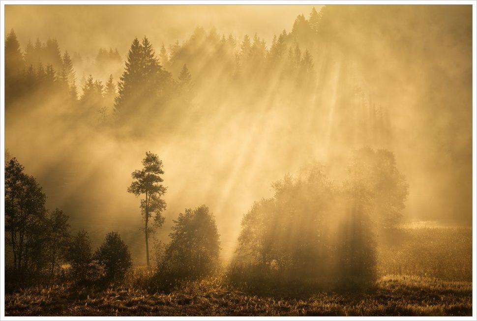 Mlhavé bavorské ráno - fotografický workshop Malebné podzimní Bavorsko