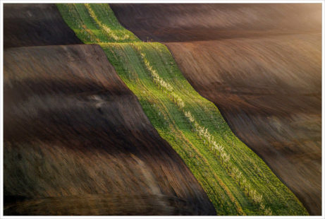 Jarní stuha na moravských polích - fotografický workshop Romanticky zvlněná Jižní Morava