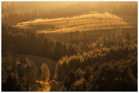 Lesy a pastviny Českého Švýcarska - fotografický workshop Podzimní Českosaské Švýcarsko