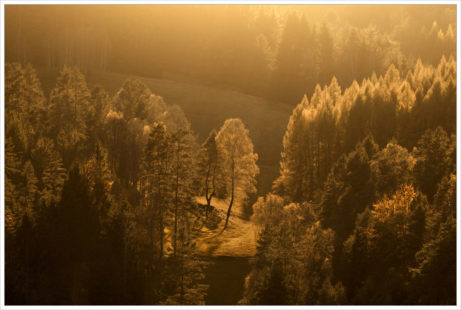 Protisvětlo v krajině - fotografický workshop Podzimní Českosaské Švýcarsko