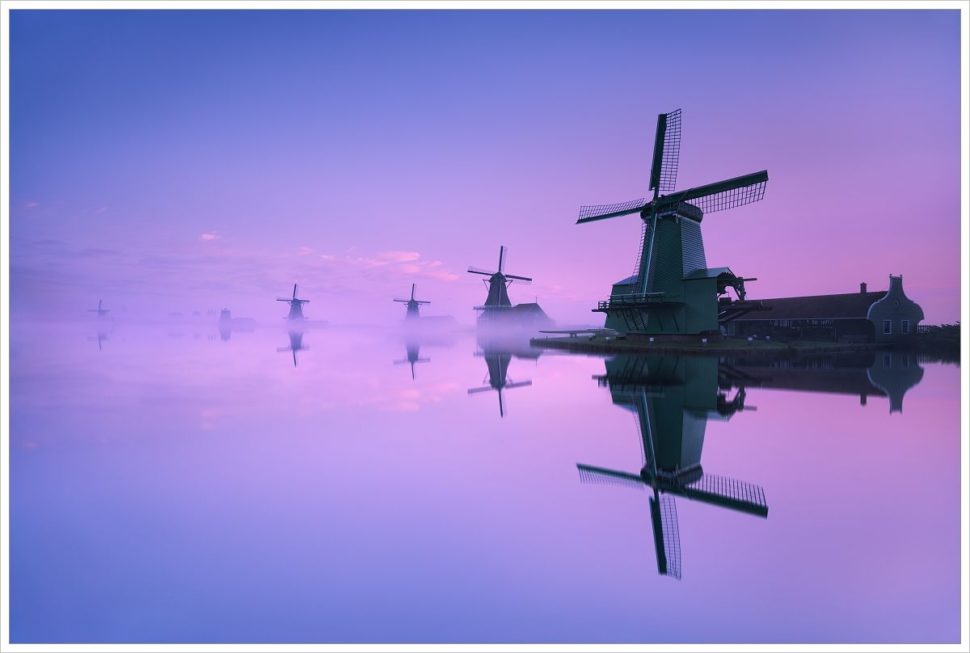 Řada větrných mlýnů v Zaanse Schans - fotografický workshop Rozkvetlé jarní Holandsko