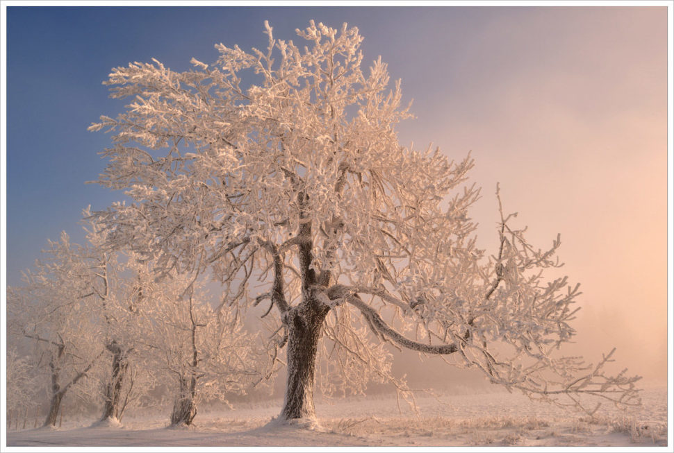 Zimní ráno v Krušných horách - fotografický workshop Labské pískovce a Krušné hory