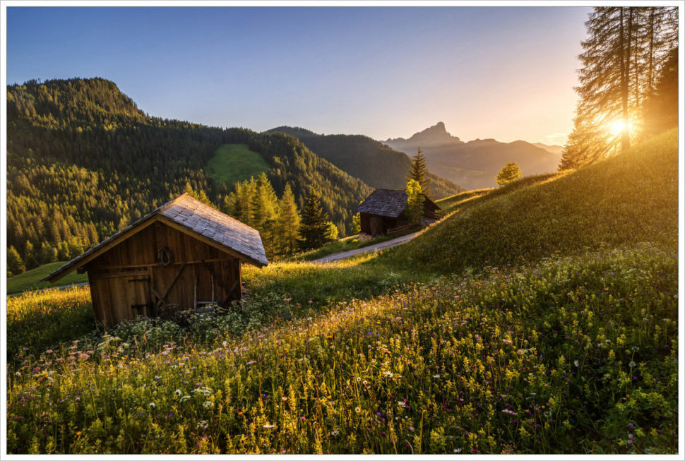 Rozkvetlé letní louky v alpském údolí je klasika Jižního Tyrolska - fotografický workshop Rozkvetlé letní Dolomity