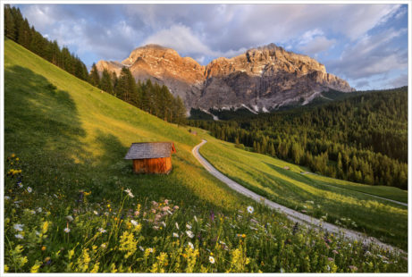 Rozkvetlé letní louky v údolí La Valle - fotografický workshop Rozkvetlé letní Dolomity