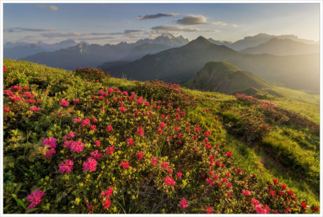 Rozkvetlé letní Dolomity v Passo Giau - fotografický workshop Rozkvetlé letní Dolomity