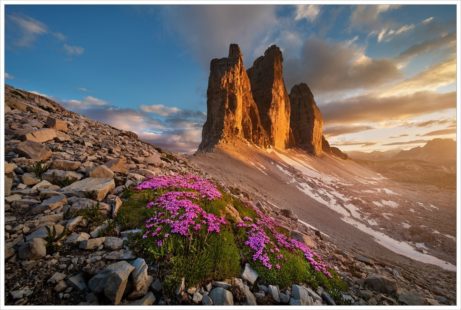Rozkvetlé vysokohorské skalničky u Tre Cime di Lavaredo v posledním večerním světlu - fotografický workshop Rozkvetlé letní Dolomity