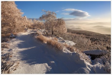 Z víkendové procházky po Děčínském Sněžníku - fotografický workshop Labské pískovce a Krušné hory