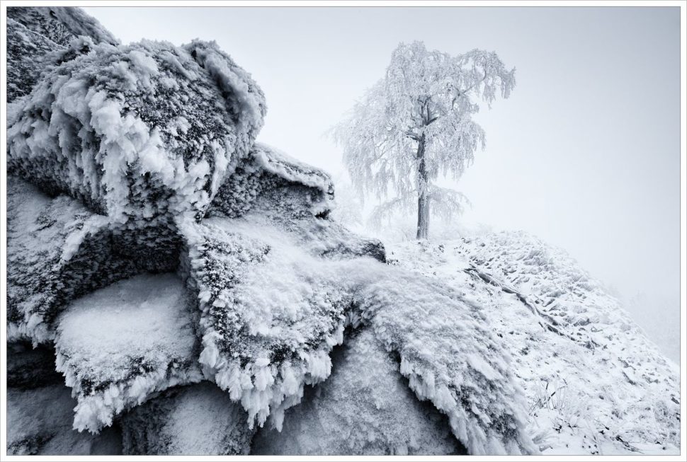 Lužické hory-mlhavá zimní krajina s omrzlými čedičovými kameny v pořpedí