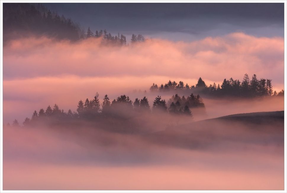 Mlhavé ráno poblíž jezera Bohinj - fotografický workshop Pohádkové podzimní Slovinsko