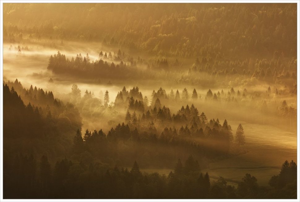 Mlhavé údolí v Julských Alpách - fotografický workshop Pohádkové podzimní Slovinsko