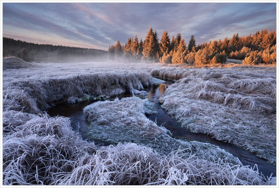 Meandry horského potoka a nasvícený smrkový les nedaleko přehrady Fláje v Krušných horách při mrazivém východu slunce na severu Čech.