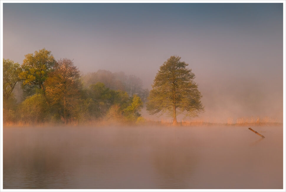 Jarní ráno u mlhavého rybníku v Českém ráji. Fotografický workshop Jarní Český ráj.