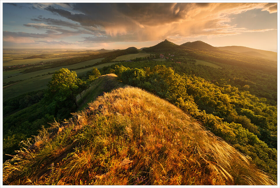 Letní podvečer v Českém středohoří. V popředí louka s kavilem a v pozadí vrcholy středohoří těsně před letní bouřkou - Fotografický kurz Letní České středohoří