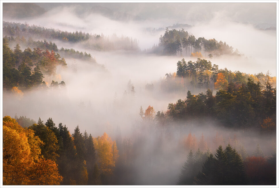 Ranní mlhou pokrytá krajina Českého Švýcarska, ze které vystupují stromy v&nbsp;podzimních barvách - Fotografický workshop Podzimní Českosaské Švýcarsko