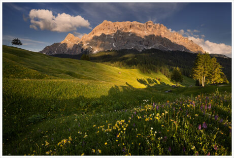 Pohodový podvečer na&nbsp;rozkvetlých loukách v&nbsp;letních Italských Dolomitech. V&nbsp;pozadí večerním sluncem nasvícené horské štíty - Fotografický workshop Rozkvetlé letní Dolomity