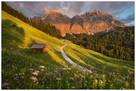 Večerním zapadajícím sluncem nasvícené vrcholky alpských štítů a&nbsp;rozkvetlé letní louky s&nbsp;dřevěným seníkem v&nbsp;srdci Dolomit - Fotografický workshop Rozkvetlé letní Dolomity