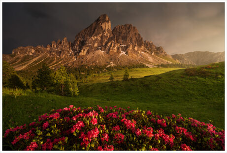 Bouřkový západ slunce v&nbsp;průsmyku Passo Erbe v&nbsp;letních Dolomitech. V&nbsp;popředí dominují rozkvetlé azalky - Fotografický workshop Rozkvetlé letní Dolomity