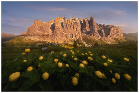 Rozkvetlá letní pastvina v&nbsp;pozadí s&nbsp;Gruppo Sella při letním západu slunce v&nbsp;srdci Dolomit - Fotografický workshop Rozkvetlé letní Dolomity