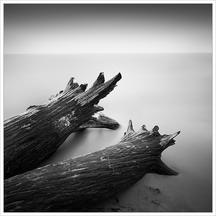 Staré kmeny stromů na pobřeží balstkého moře na ostrově Usedom. Minimalistická černobílá fotografie díky dlouhé expozici a mlhavému počasí - Fotografický workshop Tajemné baltské pobřeží Usedom